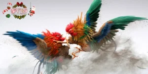 Đá gà trực tiếp bên Thomo được hiểu là gì?